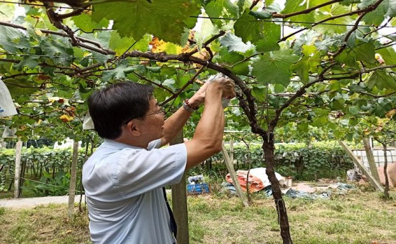 『食』在健康! 友聯支持苗栗在地小農